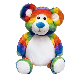 Rainbow Bear Buddy - NEW